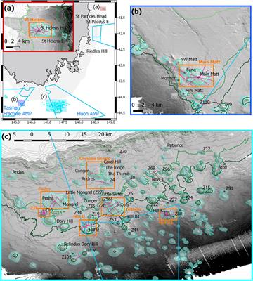 The Fate of Deep-Sea Coral Reefs on Seamounts in a Fishery-Seascape: What Are the Impacts, What Remains, and What Is Protected?